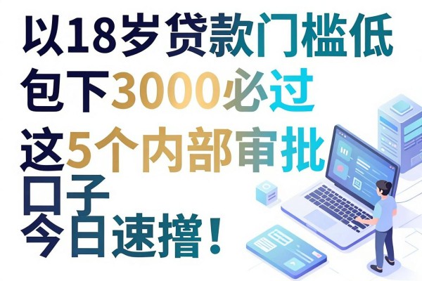 18岁贷款门槛低包下3000必过，这5个内部审批口子今日速撸！