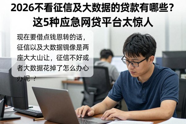 2026不看征信及大数据的贷款有哪些?这5种应急网贷平台太惊人