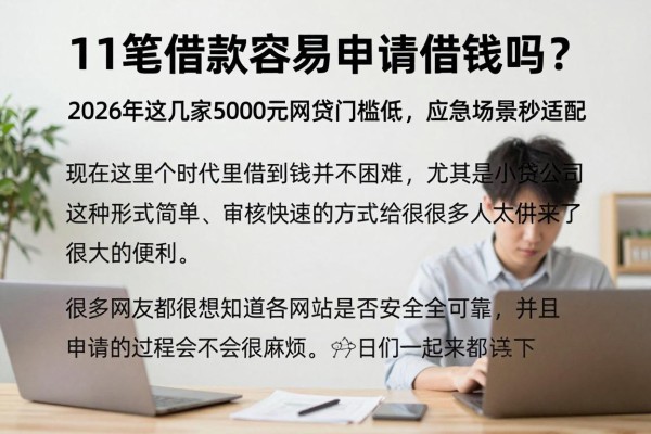 11笔借款容易申请借钱吗?2026年这几家5000元网贷门槛低,应急场景秒适配