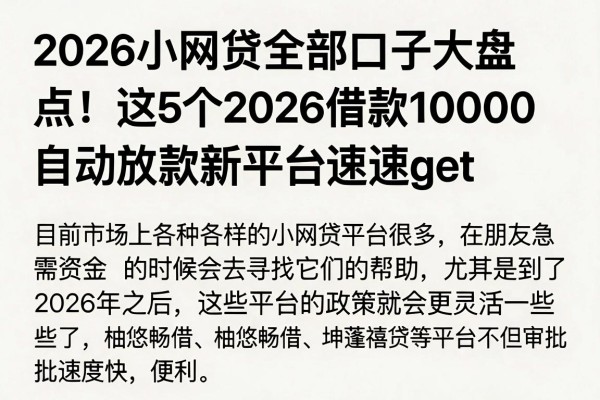 2026小网贷全部口子大盘点!这5个2026借款10000自动放款新平台速速get