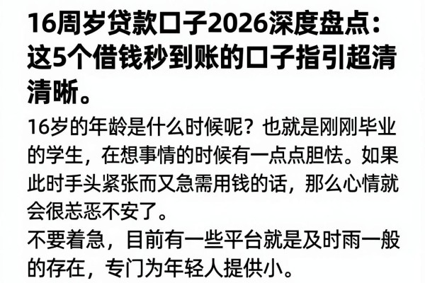 16周岁贷款口子2026深度盘点：这5个借钱秒到账的口子指引超清晰