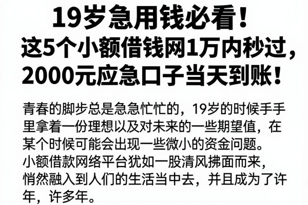 19岁急用钱必看！这5个小额借钱网1万内秒过，2000元应急口子当天到账