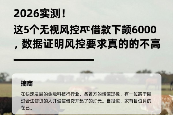 2026实测!这5个无视风控APP借款平台下款6000,数据证明风控要求真的不高