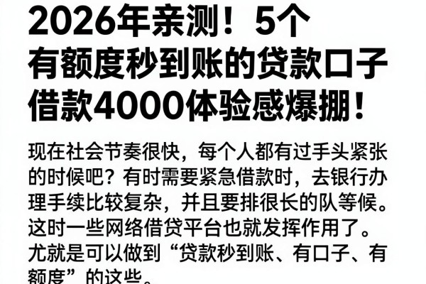 2026年亲测！5个有额度秒到账的贷款口子，借款4000体验感爆棚