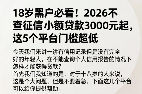 18岁黑户必看!2026不查征信小额贷款3000元起,这5个平台门槛超低