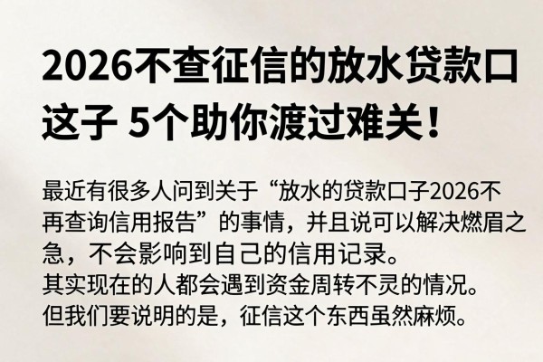 2026不查征信的放水贷款口子，这5个助你渡过难关！