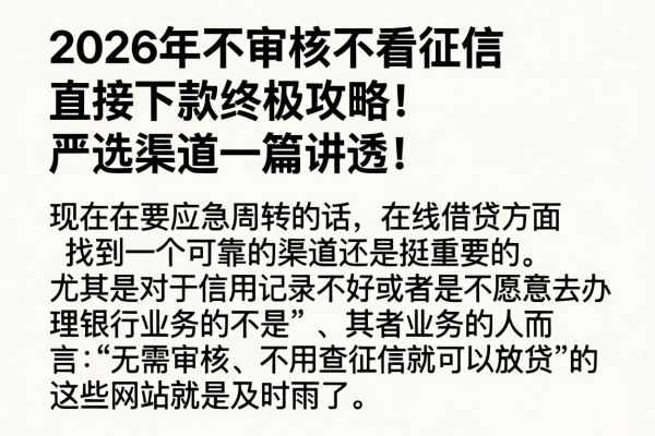 2026年不审核不看征信直接下款终极攻略!严选渠道一篇讲透!