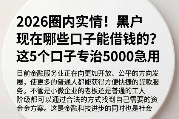 2026圈内实情!黑户现在哪些口子能借钱的?这5个口子专治5000急用