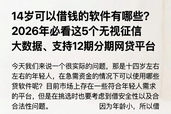 14岁可以借钱的软件有哪些?2026年必看这5个无视征信大数据、支持12期分期网贷平台