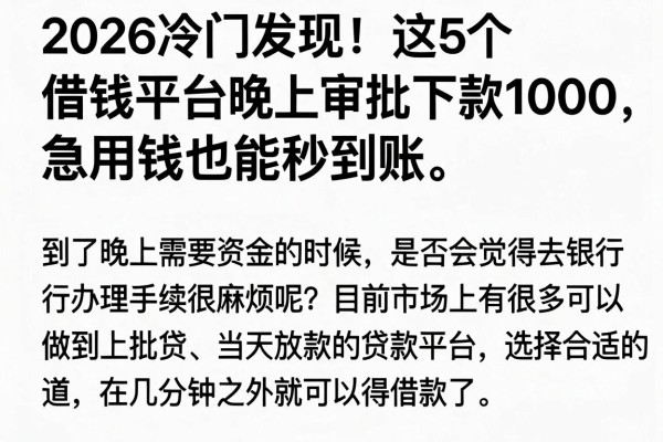 2026冷门发现!这5个借钱平台晚上审批下款1000,急用钱也能秒到账