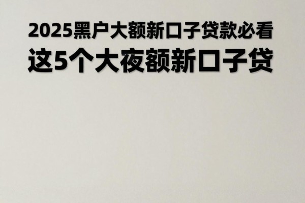 2025黑户大额新口子贷款必看!这5个容易下款的借款渠道,5000元周转急用太靠谱了