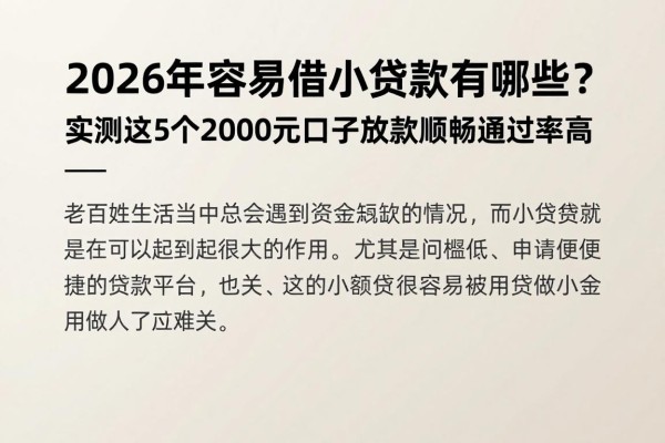 2026年容易借小额贷款有哪些?实测这5个2000元口子放款顺畅通过率高