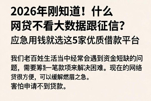 2026年刚知道!什么网贷不看大数据跟征信?应急用钱就选这5家优质借款平台