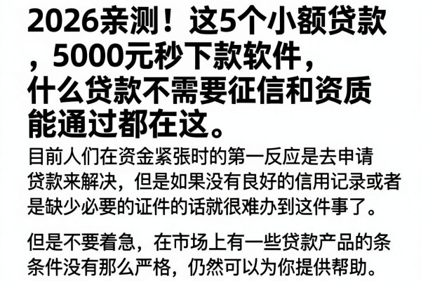 2026亲测！这5个小额贷款5000元秒下款软件，什么贷款不需要征信和资质能通过都在这