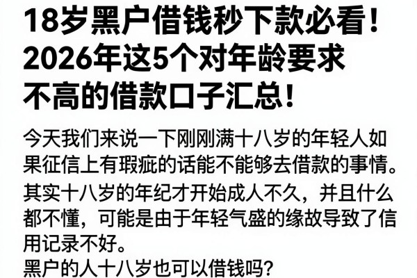 18岁黑户借钱秒下款必看！2026年这5个对年龄要求不高的借款口子汇总