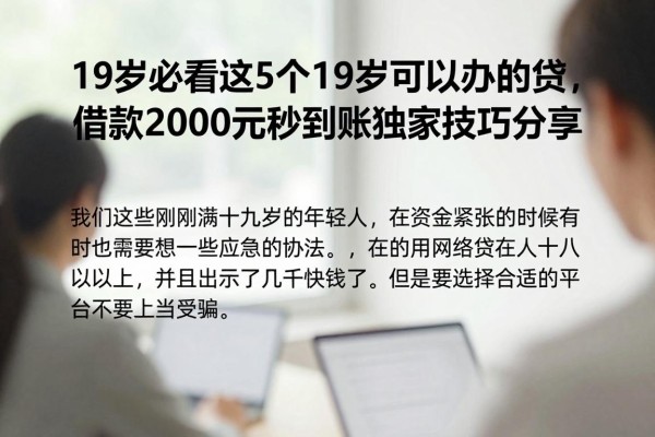 19岁必看!2026年这5个19岁可以办的网贷,借款2000元秒到账独家技巧分享