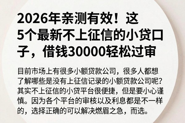 2026年亲测有效!这5个最新不上征信的小贷口子,借钱30000轻松过审