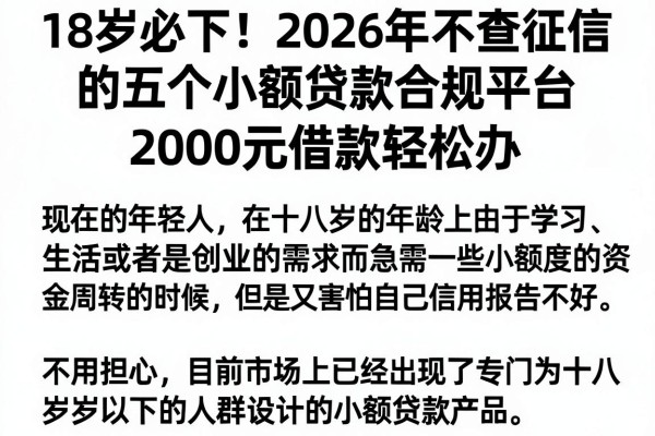 18岁必下！2026年不查征信的五个小额贷款合规平台，2000元借款轻松办