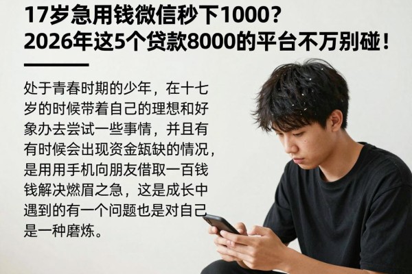 17岁急用钱微信秒下1000?2026年这5个贷款8000的平台千万别碰!