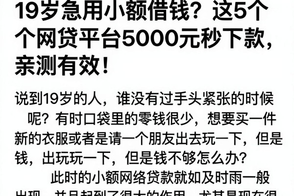 19岁急用小额借钱?这5个网贷平台5000元秒下款,亲测有效!