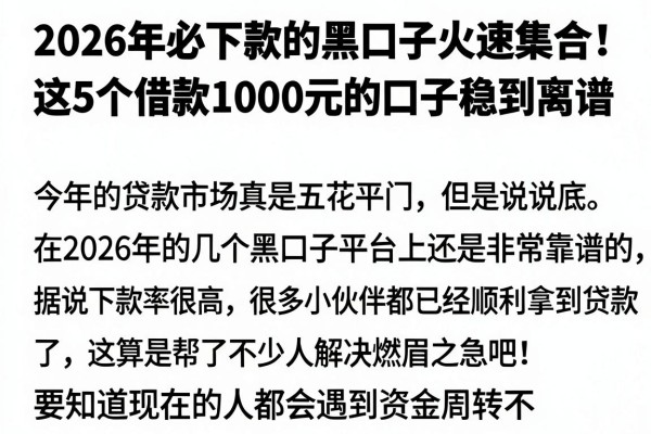2026年必下款的黑口子火速集合!这5个借款1000元的口子稳到离谱