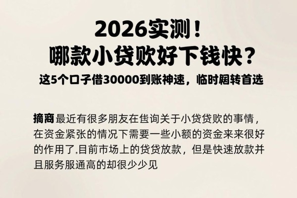 2026实测！哪款小额贷款好下钱快？这5个口子借30000到账神速，临时周转首选