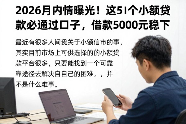 2026年内情曝光！这5个小额贷款必通过口子，借款5000元稳下