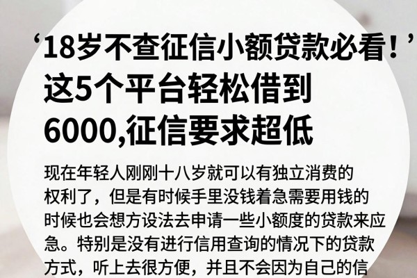 18岁不查征信小额贷款必看!这5个平台轻松借到6000,征信要求超低