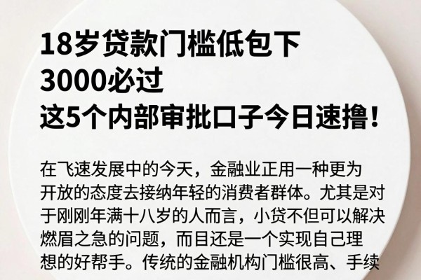 18岁贷款门槛低包下3000必过,这5个内部审批口子今日速撸!