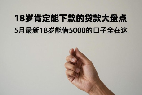 18岁肯定能下款的贷款大盘点！5月最新18岁能借5000的口子全在这