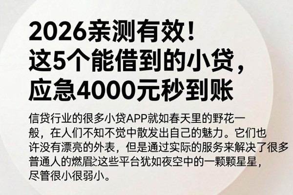 2026亲测有效!这5个能借到的小贷app,应急4000元秒到账
