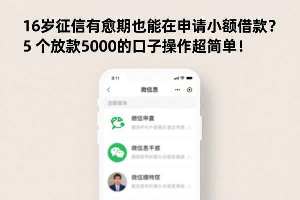 16岁征信有逾期也能在微信申请小额借款?5个放款5000的口子操作超简单!