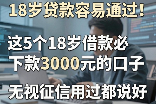 18岁贷款容易通过!这5个18岁借款必下款3000元的口子,无视征信用过都说好
