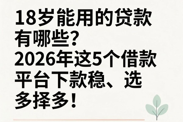 18岁能用的贷款有哪些？2026年这5个借款平台下款稳、选择多！