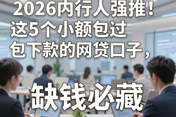 2026内行人强推!这5个小额包过包下款的网贷口子,缺钱必藏