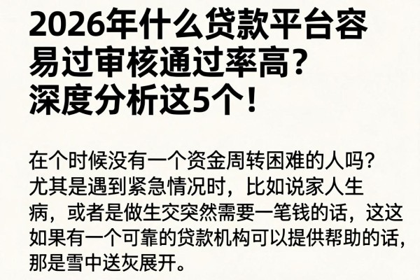 2026年什么贷款平台容易过审核通过率高?深度分析这5个!
