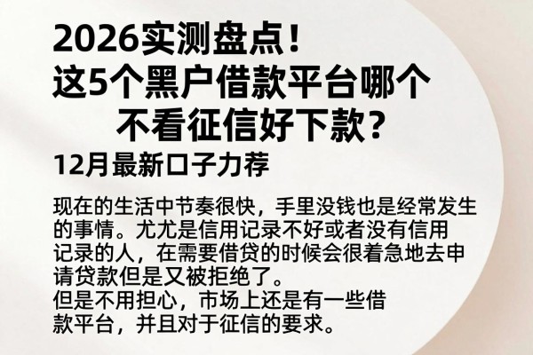 2026实测盘点！这5个黑户借款平台哪个不看征信好下款？12月最新口子力荐