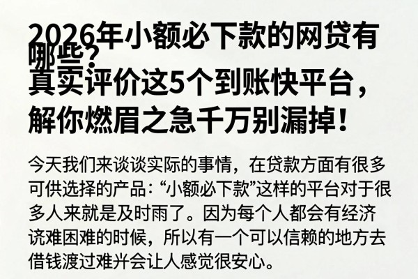 2026年小额必下款的网贷有哪些?真实评价这5个到账快平台,解你燃眉之急千万别漏掉!