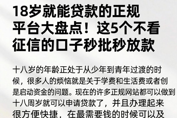 18岁就能贷款的正规平台大盘点!这5个不看征信的口子秒批秒放款