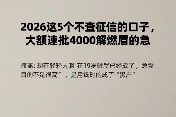 19岁黑户必看!2026这5个不查征信的口子,大额速批4000解燃眉之急