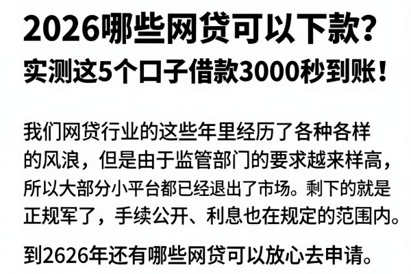 2026哪些网贷可以下款?实测这5个口子借款3000秒到账!