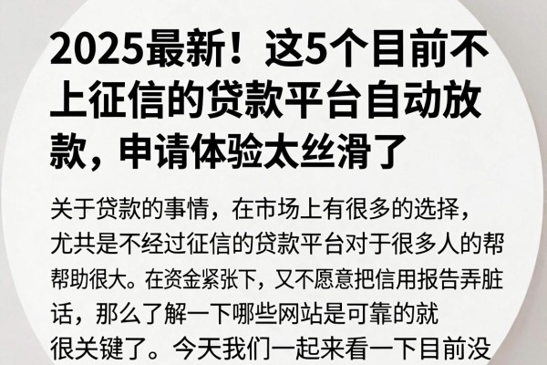 2025最新!这5个目前不上征信的贷款平台自动放款,申请体验太丝滑了