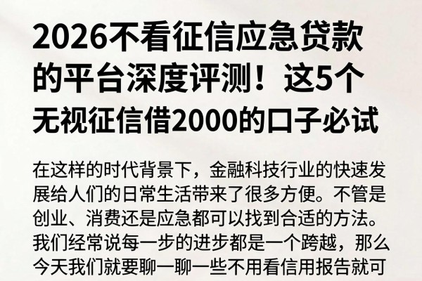 2026不看征信应急贷款的平台深度评测！这5个无视征信借2000的口子必试