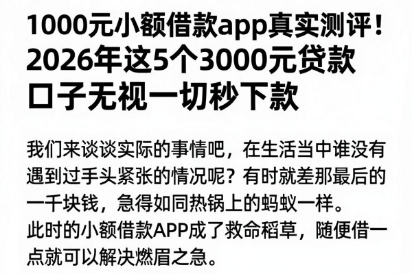 1000元小额借款app真实测评!2026年这5个3000元贷款口子无视一切秒下款