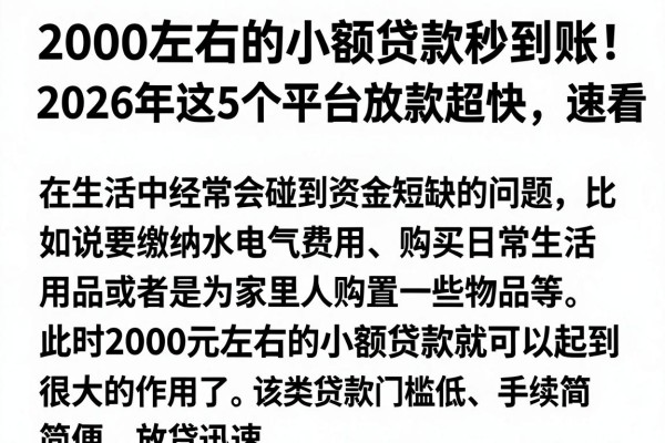 2000左右的小额贷款秒到账！2026年这5个平台放款超快，速看