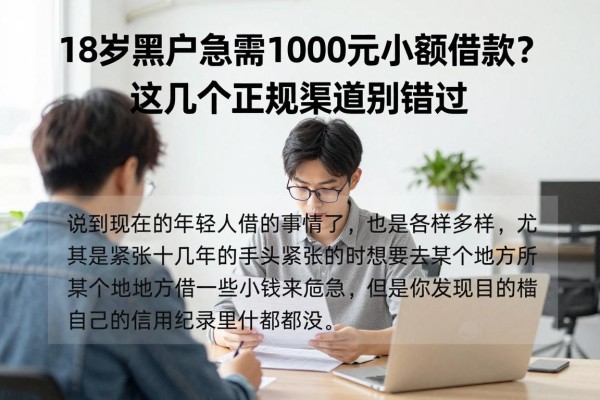 18岁黑户急需1000元小额借款?这几个正规渠道别错过