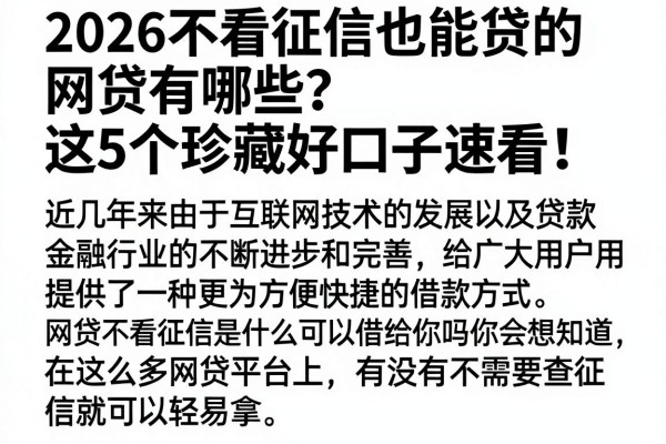 2026不看征信也能贷的网贷有哪些?这5个珍藏好口子速看!