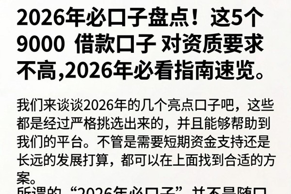 2026年必口子盘点！这5个9000借款口子对资质要求不高，2026年必看指南速览