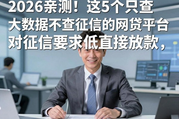 2026亲测!这5个只查大数据不查征信的网贷平台,对征信要求低直接放款