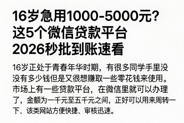 16岁急用1000-5000元？这5个微信贷款平台2026秒批到账速看